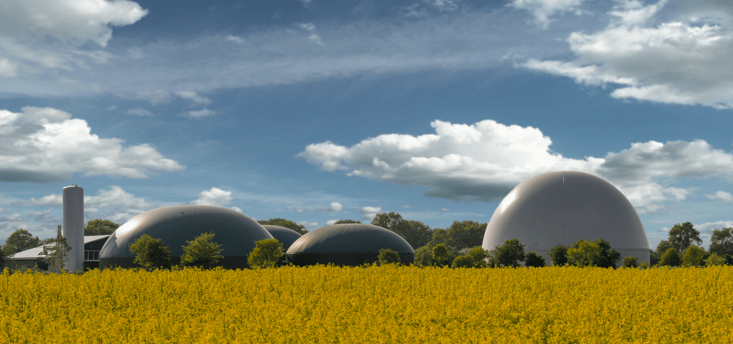 power biogas slide (1)