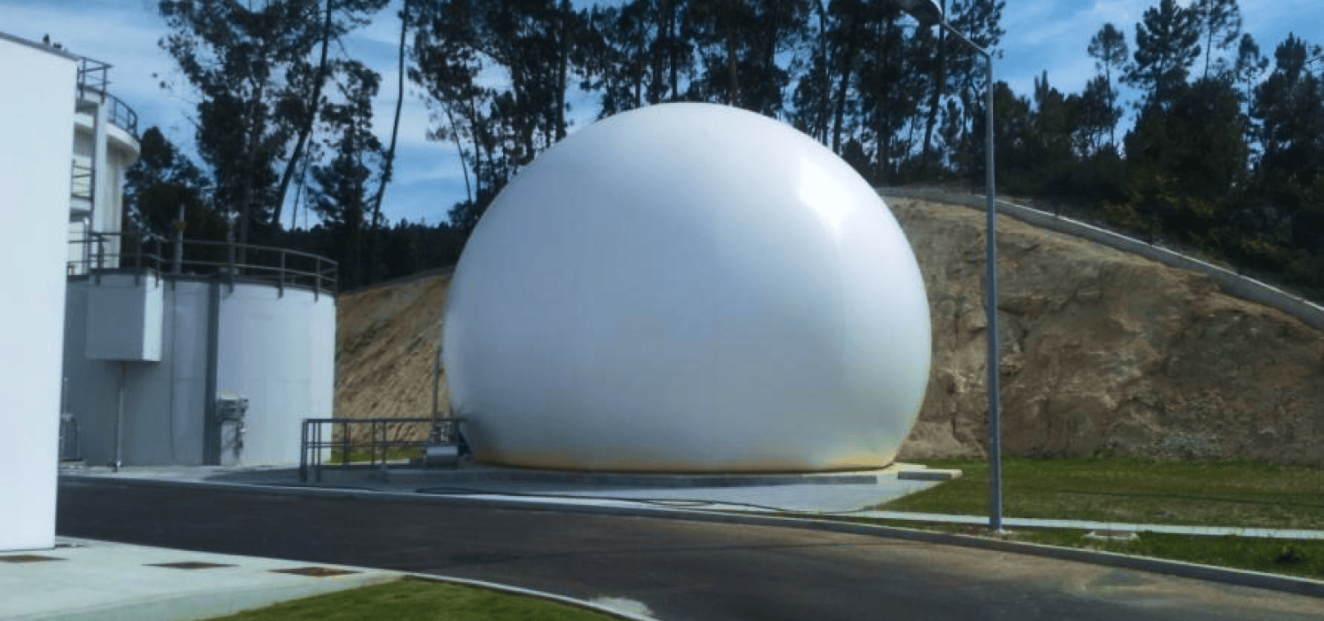 power biogas slide (2)
